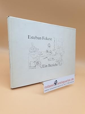 Seller image for Ein Bericht / Esteban Fekete. Die Nachbemerkungen schrieb Ursula Paschke for sale by Roland Antiquariat UG haftungsbeschrnkt