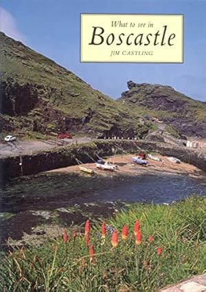 Seller image for What to See in Boscastle for sale by WeBuyBooks