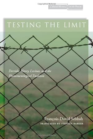 Seller image for Testing the Limit: Derrida, Henry, Levinas, and the Phenomenological Tradition (Cultural Memory in the Present) by Sebbah, François-David [Paperback ] for sale by booksXpress