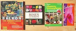 Imagen del vendedor de Vier Titel: 1. Balkon- und Kbelpflanzen fr Einsteiger ; 2. DuMonts kleines Rosenlexikon ; 3. Pflegeleichte Zimmerpflanzen ; 4. Orchideen (Faltblatt, 8 Seiten Leporello) a la venta por Versandantiquariat Manuel Weiner