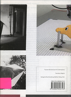 Seller image for Transitory Objects for sale by Specific Object / David Platzker