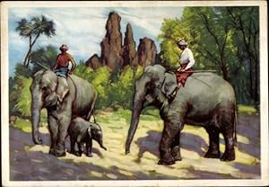 Ansichtskarte / Postkarte Hamburg Eimsbüttel Stellingen, Carl Hagenbecks Tierpark, Elefanten beim...