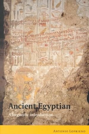 Immagine del venditore per Ancient Egyptian : A Linguistic Introduction venduto da GreatBookPricesUK