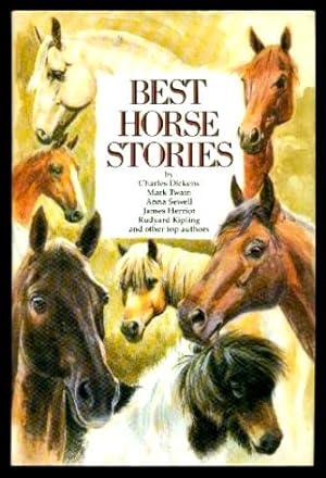 BEST HORSE STORIES