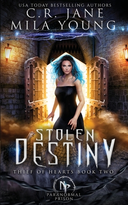 Seller image for Stolen Destiny: Paranormal Romance (Paperback or Softback) for sale by BargainBookStores