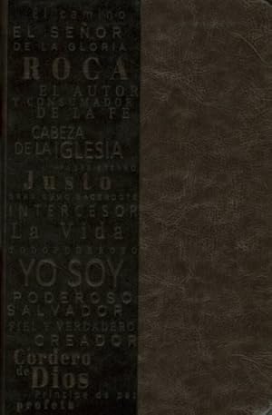 Imagen del vendedor de Santa Biblia : Biblia Rvr 1960 Tamao Manual, Simil Piel Gris Con Nombres De Dios -Language: spanish a la venta por GreatBookPrices