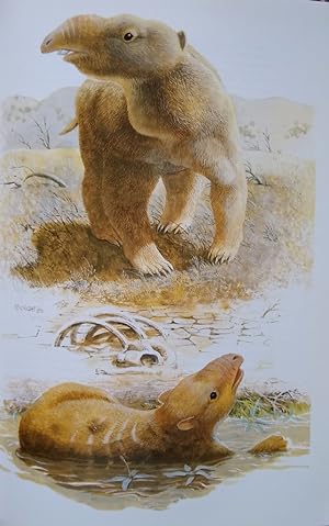 Kadimakara - Extinct Vertebrates of Australia