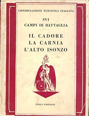 Seller image for Sui campi di battaglia. Il Cadore, la Carnia, l'alto Isonzo : guida storico-turistica for sale by TORRE DI BABELE