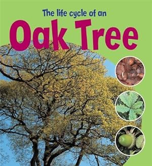 Bild des Verkufers fr The Life Cycle of an Oak Tree (Learning About Life Cycles) zum Verkauf von WeBuyBooks