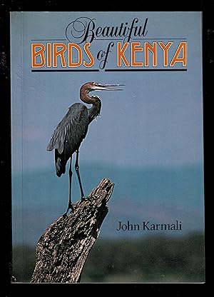 Beautiful Birds Kenya