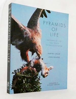 Bild des Verkufers fr Pyramids of Life zum Verkauf von Adelaide Booksellers