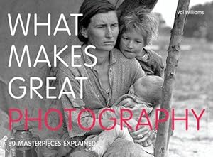 Immagine del venditore per What Makes Great Photography: 80 Masterpieces Explained venduto da WeBuyBooks