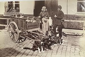 [Vintage photograph, ca 1910] Laitière Flamande (Contravention), Flemish Milkmaid, Antique dog ca...