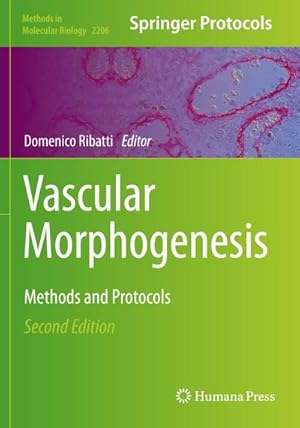 Bild des Verkufers fr Vascular Morphogenesis : Methods and Protocols zum Verkauf von AHA-BUCH GmbH