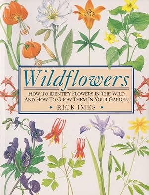 Wildflowers : How to Identify Flowers in the Wild and How to Grow Them in Your Garden