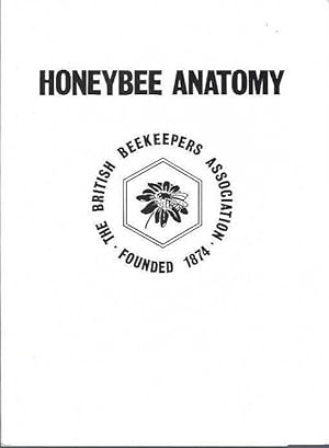 Honeybee Anatomy.