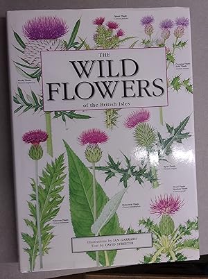 Seller image for The Wild Flowers of the British Isles for sale by Baggins Book Bazaar Ltd