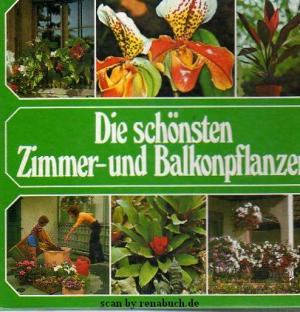 Die schönsten Zimmer- und Balkonpflanzen