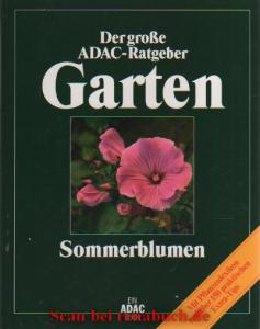 Sommerblumen