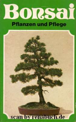 Bonsai - Pflanzen und Pflege