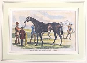 1860s Original Equine Print from - "The Illustrated London News", #1