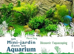 un mini-jardin dans un aquarium