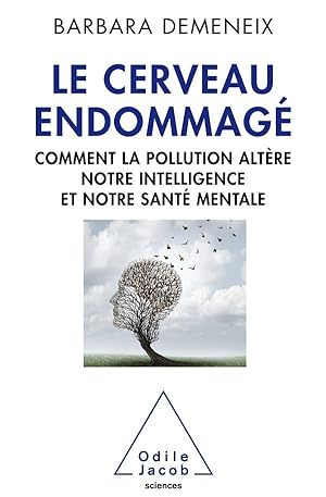 le cerveau endommagé