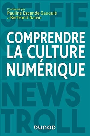 comprendre la culture numérique