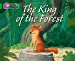 Seller image for The King of the Forest (Collins Big Cat) [Soft Cover ] for sale by booksXpress