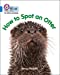 Seller image for Be an Otter Expert: Band 4/Blue (Collins Big Cat Phonics) [Soft Cover ] for sale by booksXpress