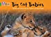 Immagine del venditore per Big Cat Babies (Collins Big Cat) [Soft Cover ] venduto da booksXpress