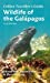 Bild des Verkufers fr Wildlife of the Galapagos (Travellers Guide) [Soft Cover ] zum Verkauf von booksXpress