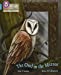 Immagine del venditore per The Owl in the Mirror: Band 07/Turquoise (Collins Big Cat Phonics for Letters and Sounds) [Soft Cover ] venduto da booksXpress