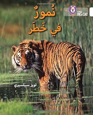 Seller image for Collins Big Cat Arabic   Tigers in Danger: Level 10 by Collins UK [Paperback ] for sale by booksXpress