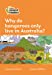 Seller image for Why do Kangaroos Only Live in Australia?: Level 4 (Collins Peapod Readers) [Soft Cover ] for sale by booksXpress