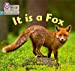 Seller image for It is a Fox [Soft Cover ] for sale by booksXpress