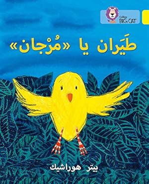 Seller image for Fly, Murjan!: (Level 3) (Collins Big Cat Arabic) by Collins UK [Paperback ] for sale by booksXpress