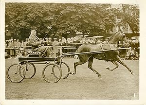 "Concours hippique royal de Richmond 1932 / JIX le vainqueur des poneys attelé à Mr William MILLE...