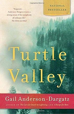 Seller image for Turtle Valley for sale by WeBuyBooks