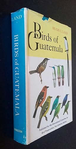 Birds Of Guatemala