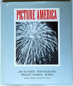 Seller image for Picture America for sale by Trilby & Co. Books