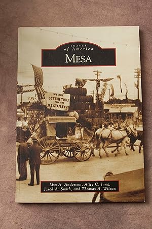 Seller image for Mesa (Images of America: Arizona) for sale by Snowden's Books