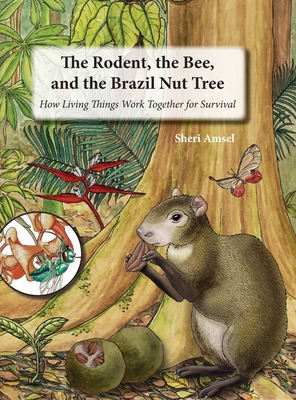Seller image for The Rodent, the Bee, and the Brazil Nut Tree: How Living Things Work Together for Survival (Hardback or Cased Book) for sale by BargainBookStores