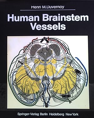 Bild des Verkufers fr Human brainstem vessels. zum Verkauf von books4less (Versandantiquariat Petra Gros GmbH & Co. KG)