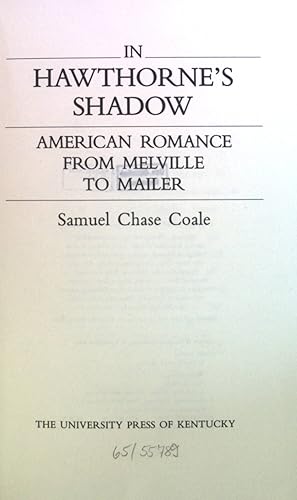 Bild des Verkufers fr In Hawthorne's Shadow: American Romance from Melville to Mailer zum Verkauf von books4less (Versandantiquariat Petra Gros GmbH & Co. KG)