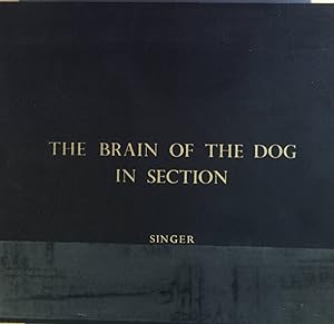 The Brain of the Dog in Section