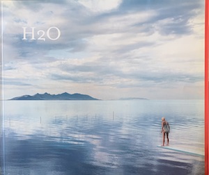 Imagen del vendedor de H2O a la venta por Wittenborn Art Books