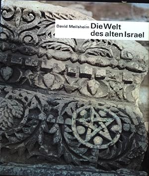 Bild des Verkufers fr Die Welt des Alten Israel; zum Verkauf von books4less (Versandantiquariat Petra Gros GmbH & Co. KG)