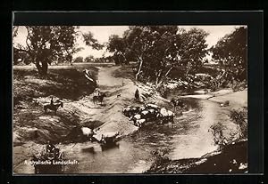 Bild des Verkufers fr Ansichtskarte Australien, Australische Landschaft zum Verkauf von Bartko-Reher