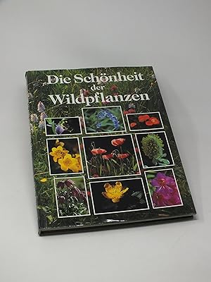 Seller image for Die Sch?nheit der Wildpflanzen for sale by Antiquariat Hans Wger